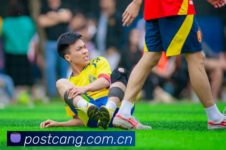 多媒体互动体验